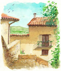 Morella